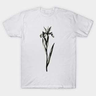 Iris T-Shirt